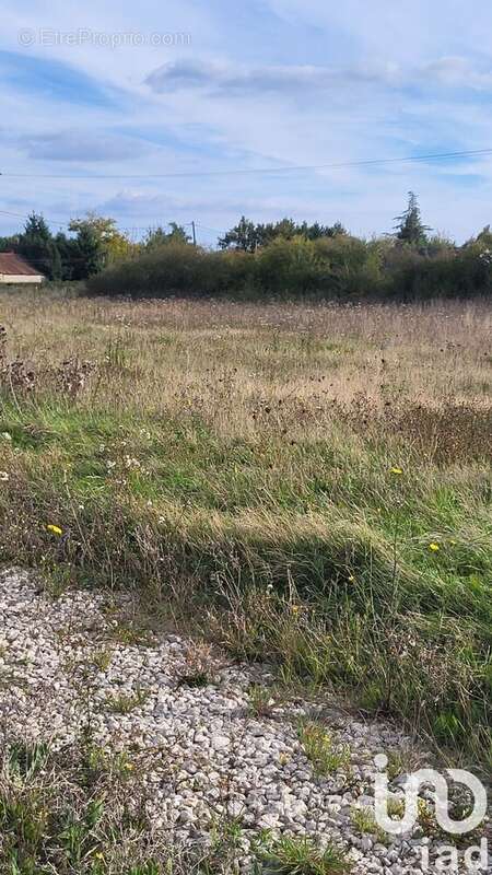 Photo 3 - Terrain à LA COUR-MARIGNY