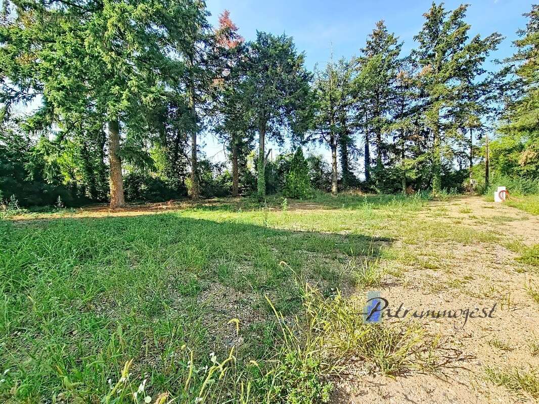 Maison 74 m² à Cuzieu  - photo 2