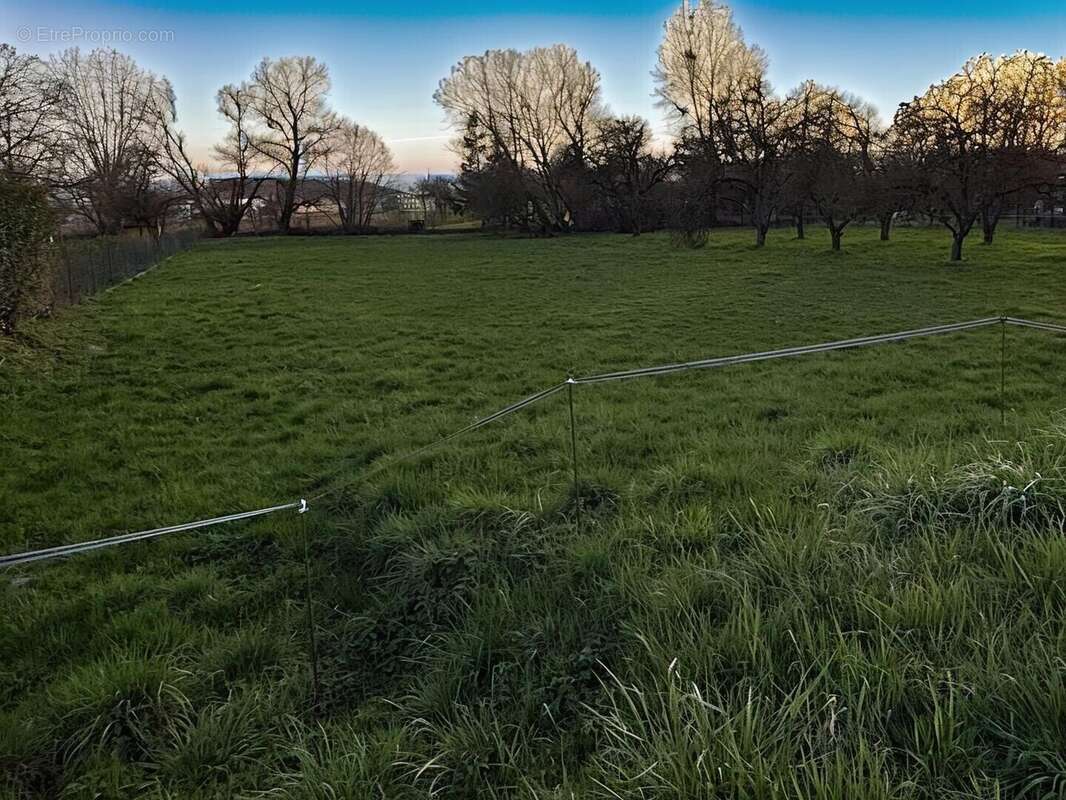 Terrain à VEZELISE