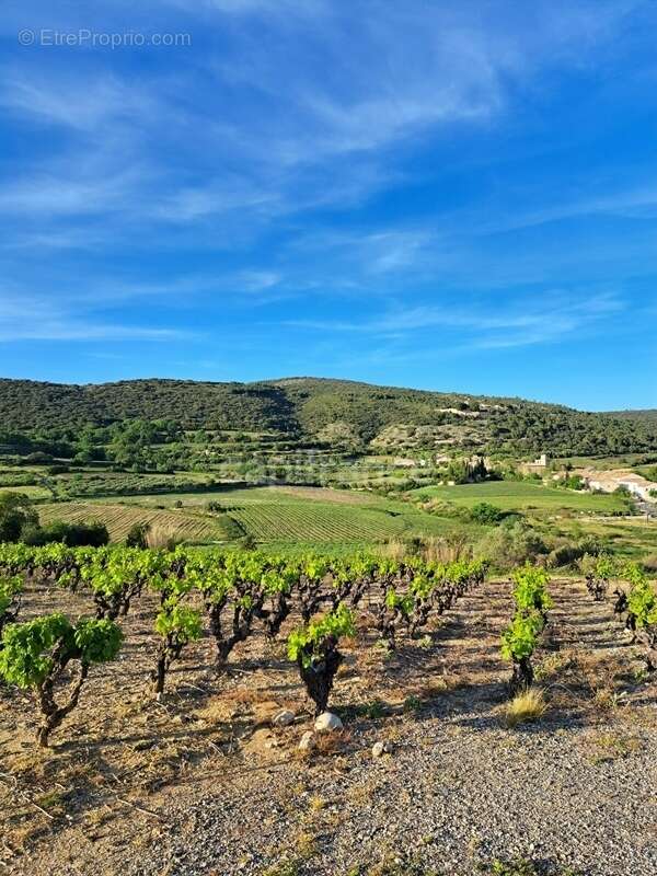 Terrain à MONTPEYROUX