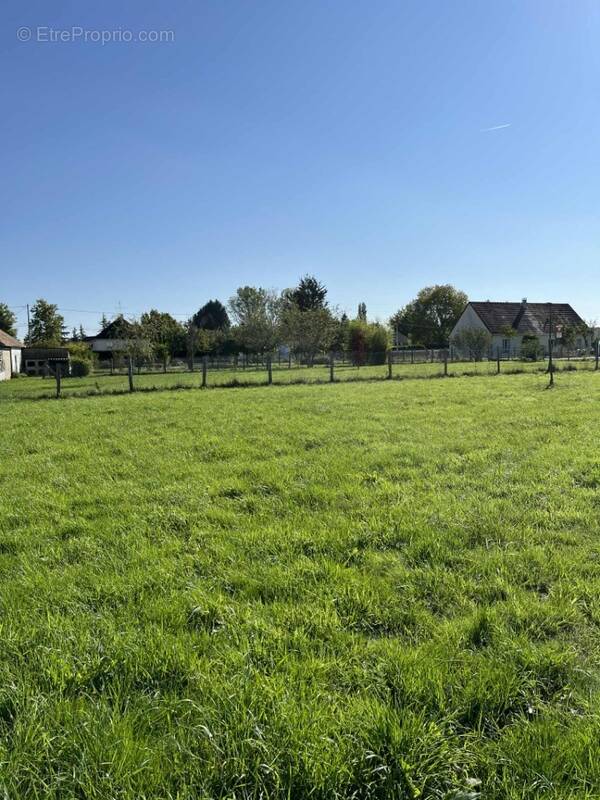 Terrain à VILLAINES-LA-CARELLE