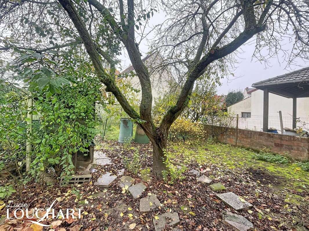 Photo 8 - Maison à CHEVILLY-LARUE