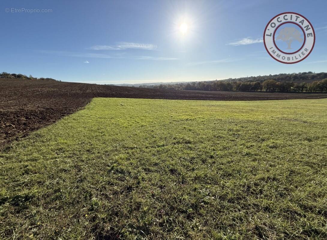 Terrain à L'ISLE-JOURDAIN