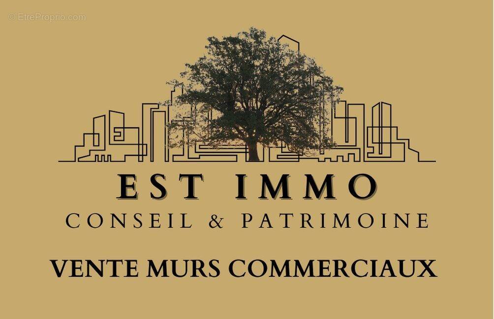 Appartement à SCHILTIGHEIM