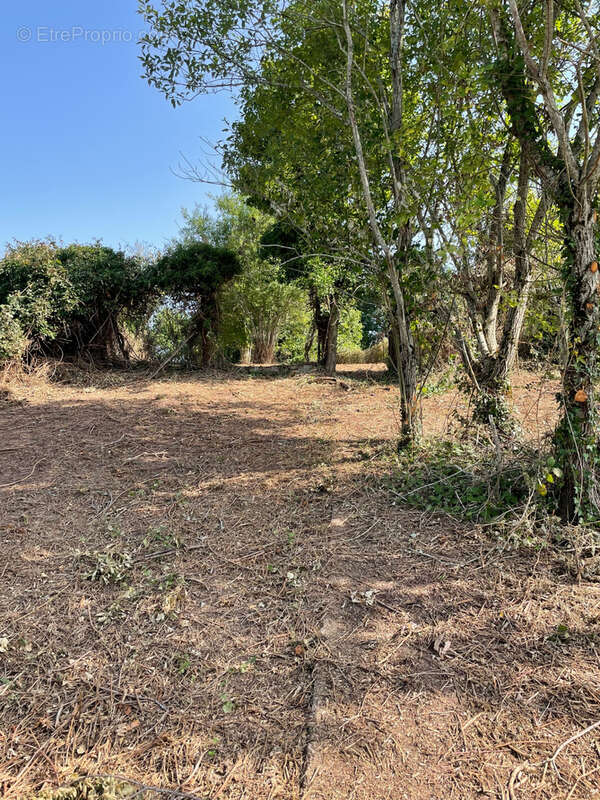 Terrain à HASELBOURG