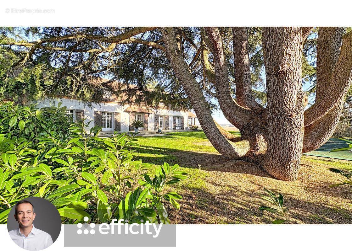 Maison à MONETAY-SUR-ALLIER