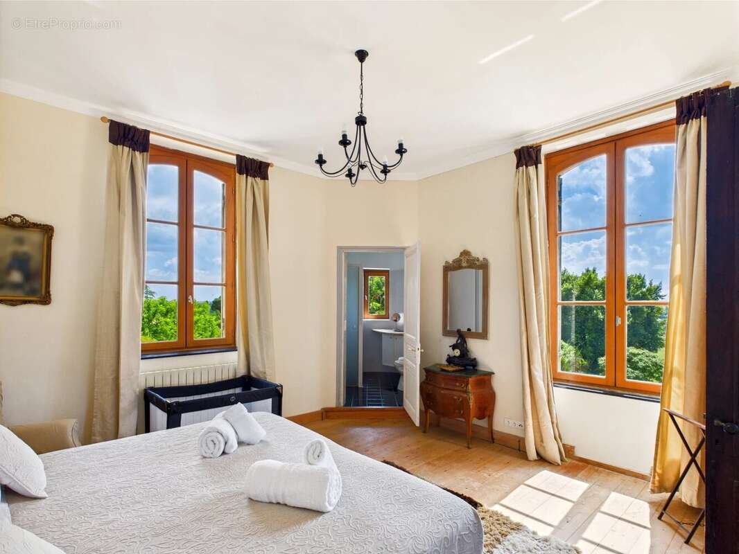 Splendide Château du XIXème siècle avec Tourelles – Élégance, Confort et Art de Vivre à la Française - photo 9