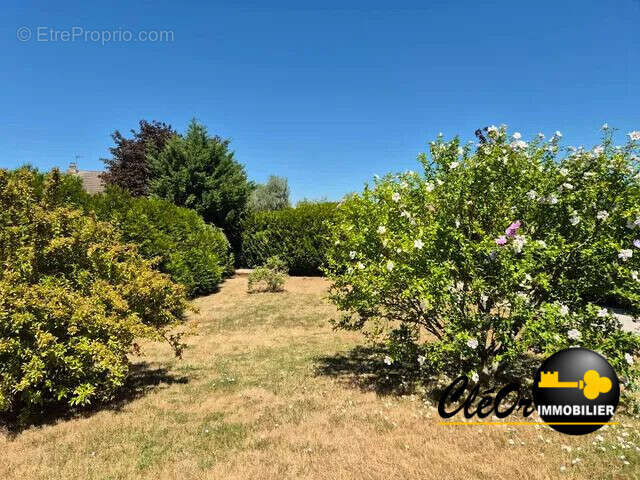 Maison 84 m² à Sassenay  - photo 9