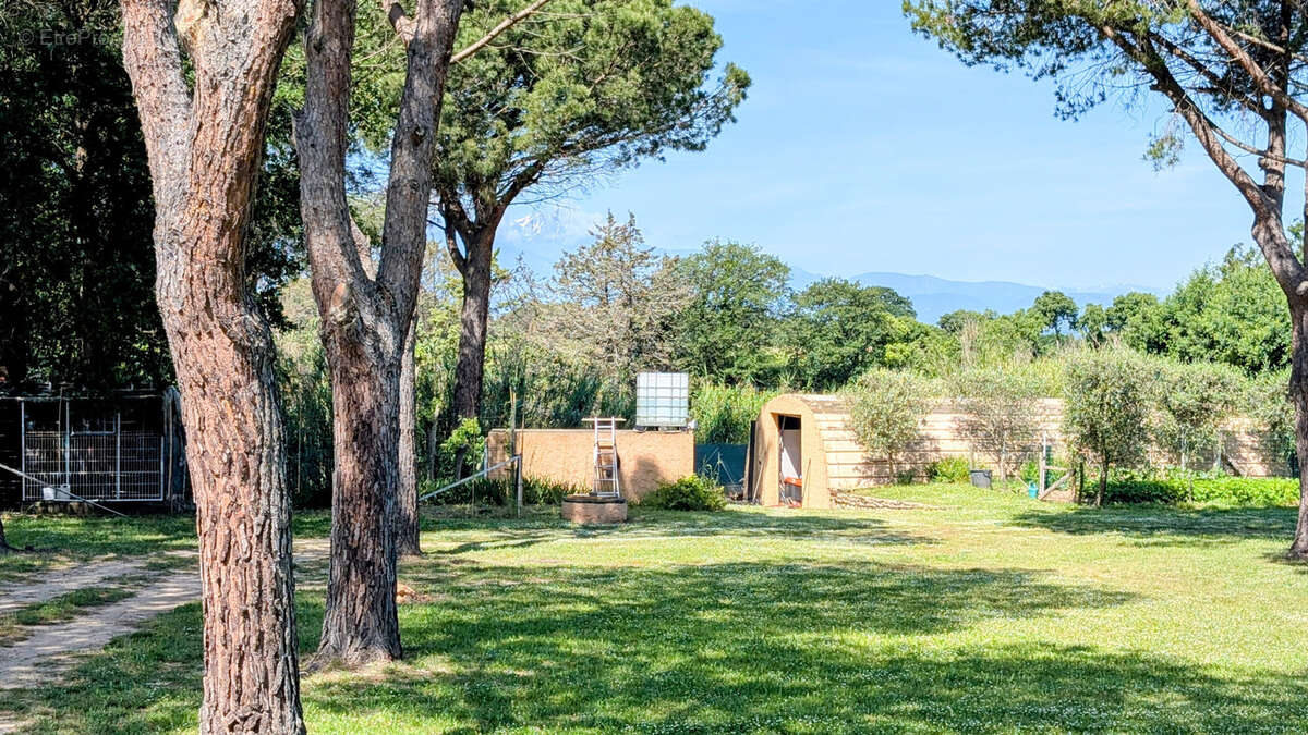 Terrain à LAROQUE-DES-ALBERES