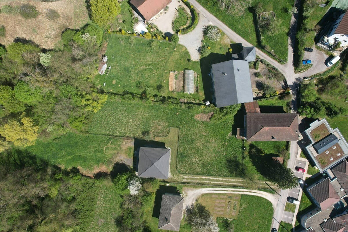 Terrain à LES MOLLETTES