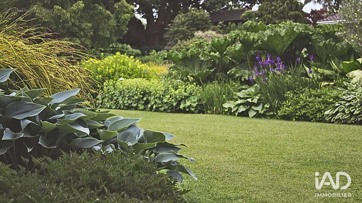 Photo 4 - Maison à RIOM