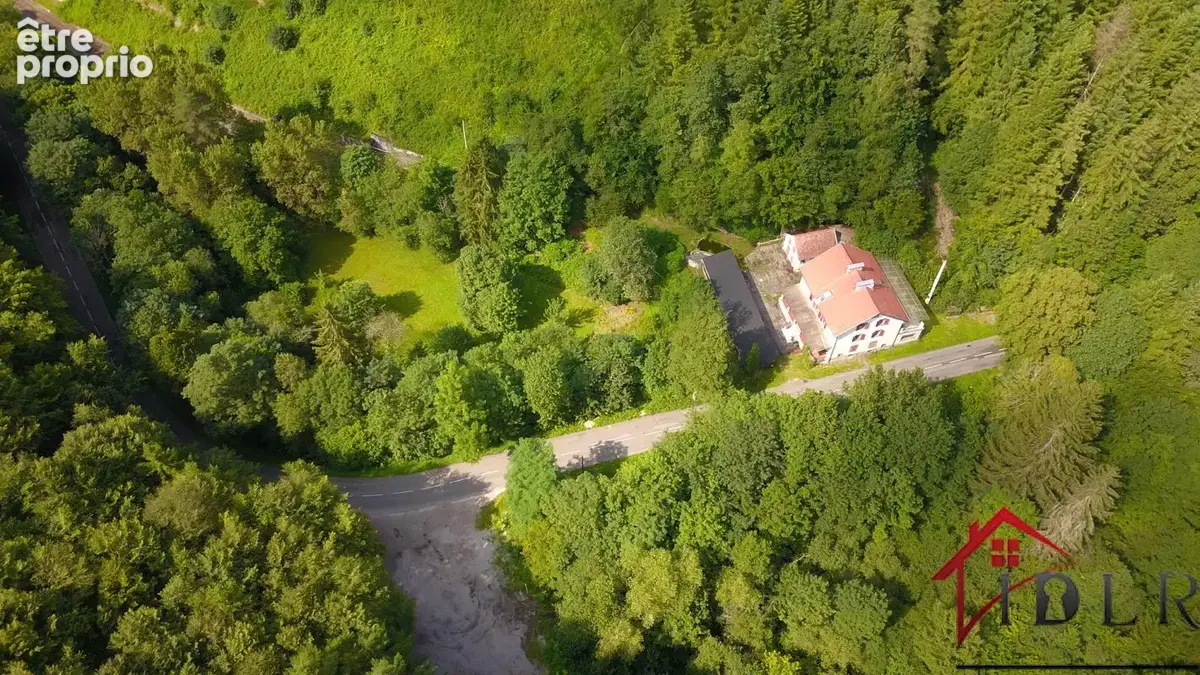 Puberg   propriété atypique 292 m2   2 logements   6 800 m2 - photo 3