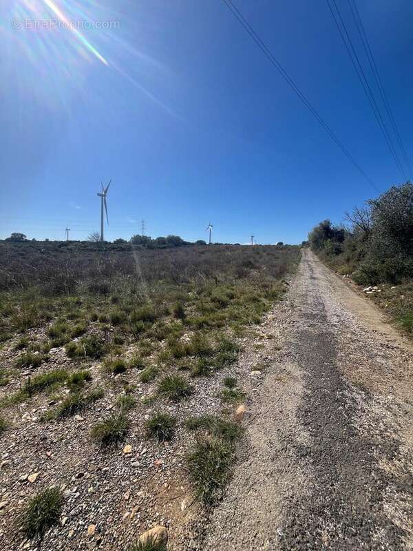 Photo 3 - Terrain à BAIXAS