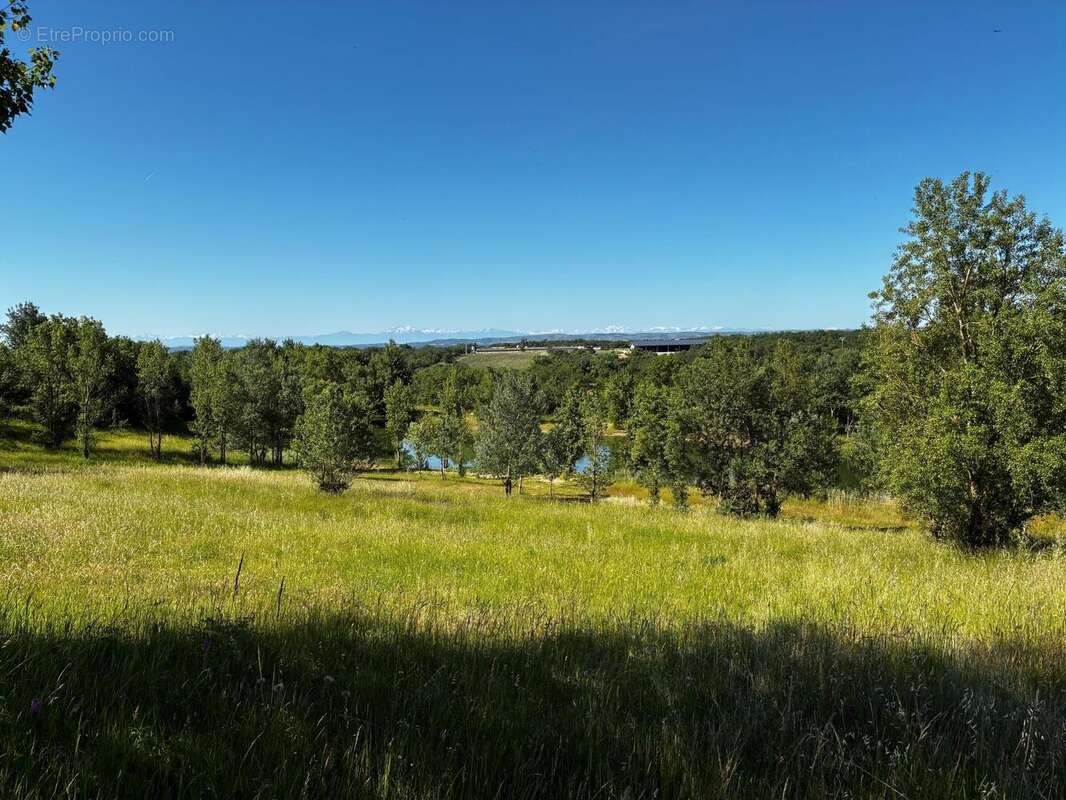 Terrain 40472 m² à Saint-Papoul  - photo 4
