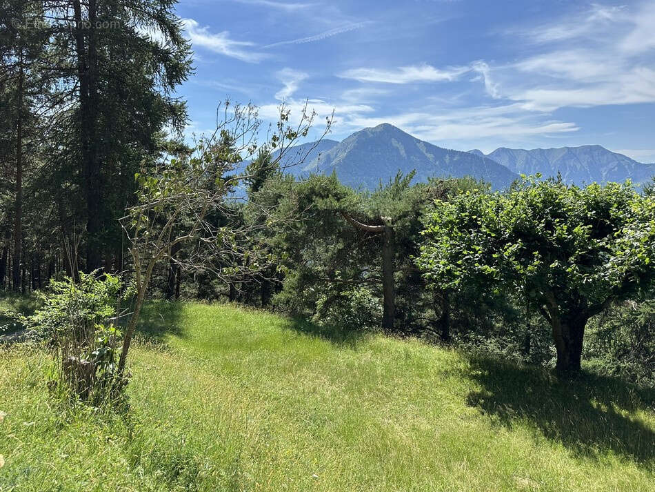 Propriété au coeur de la nature 5 pièces sur 3355m2 de terrain - photo 3