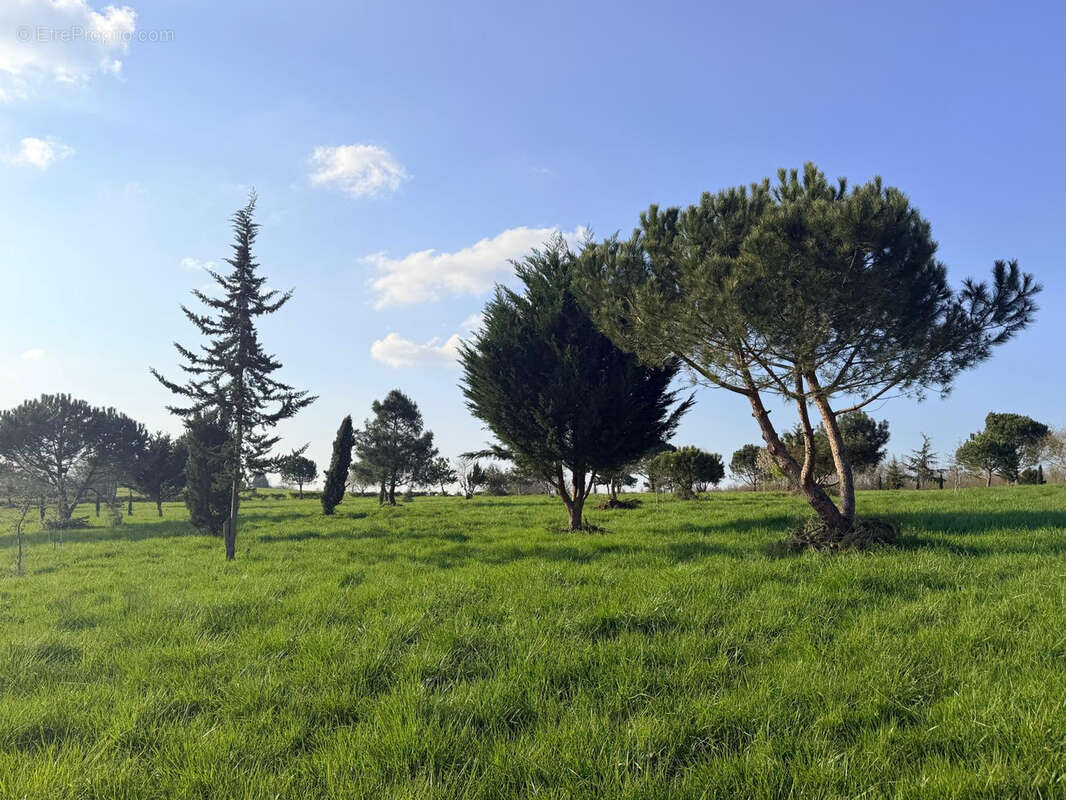 Maison à L'ISLE-EN-DODON