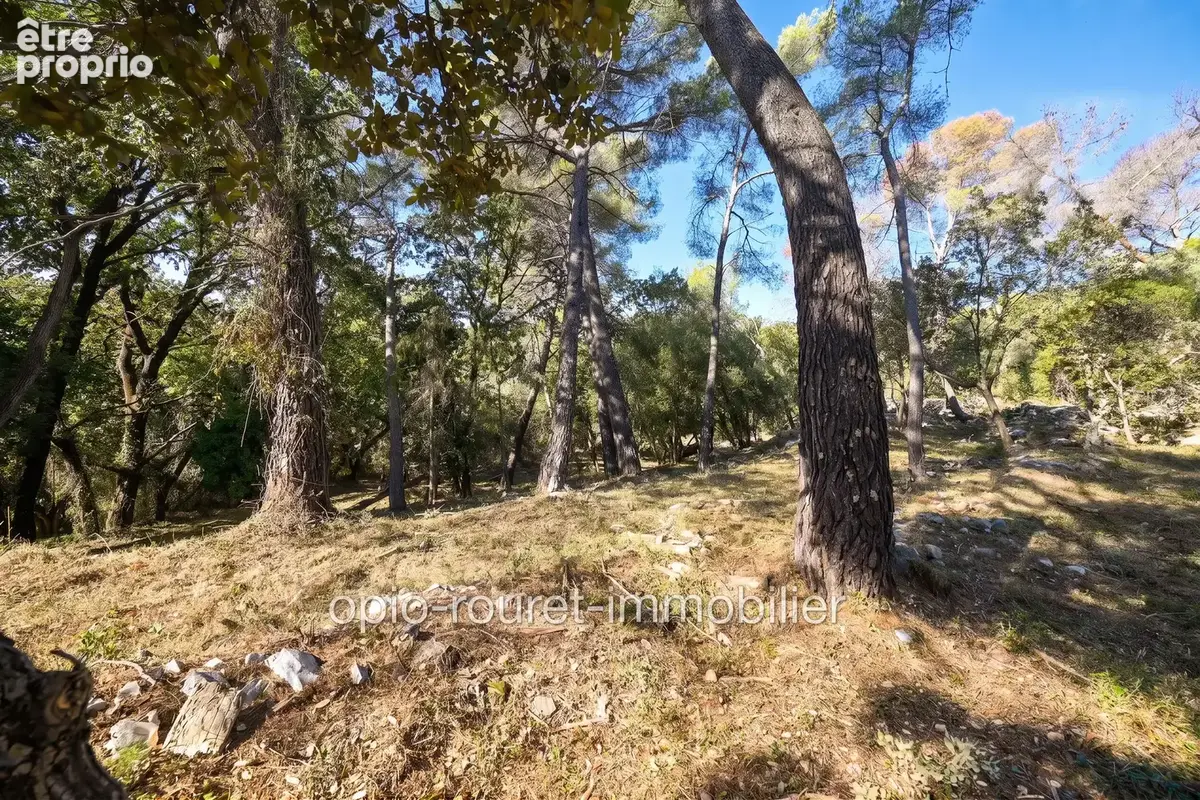 Terrain 2 500 m² à vendre à Roquefort-Les-Pins (06330) - photo 7