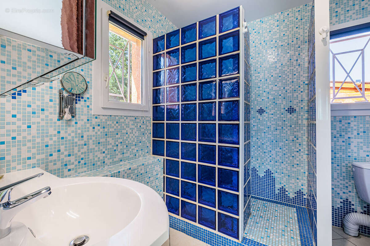 Maison à VILLENEUVE-TOLOSANE