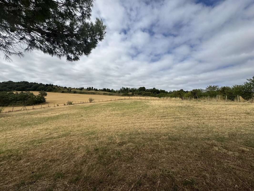 Domaine versatile dans le Lauragais - photo 18