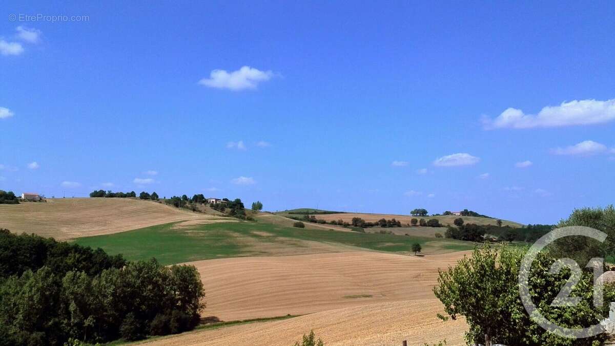 Maison à MONTGAILLARD