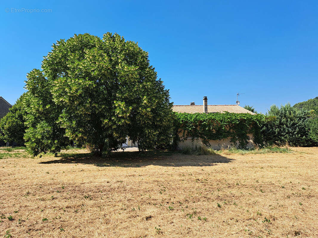 Maison à MALAUCENE