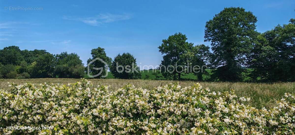 Maison 160m² avec grand espace pro clé en main entre Pau et Tarbes - 318 000€ - photo 7
