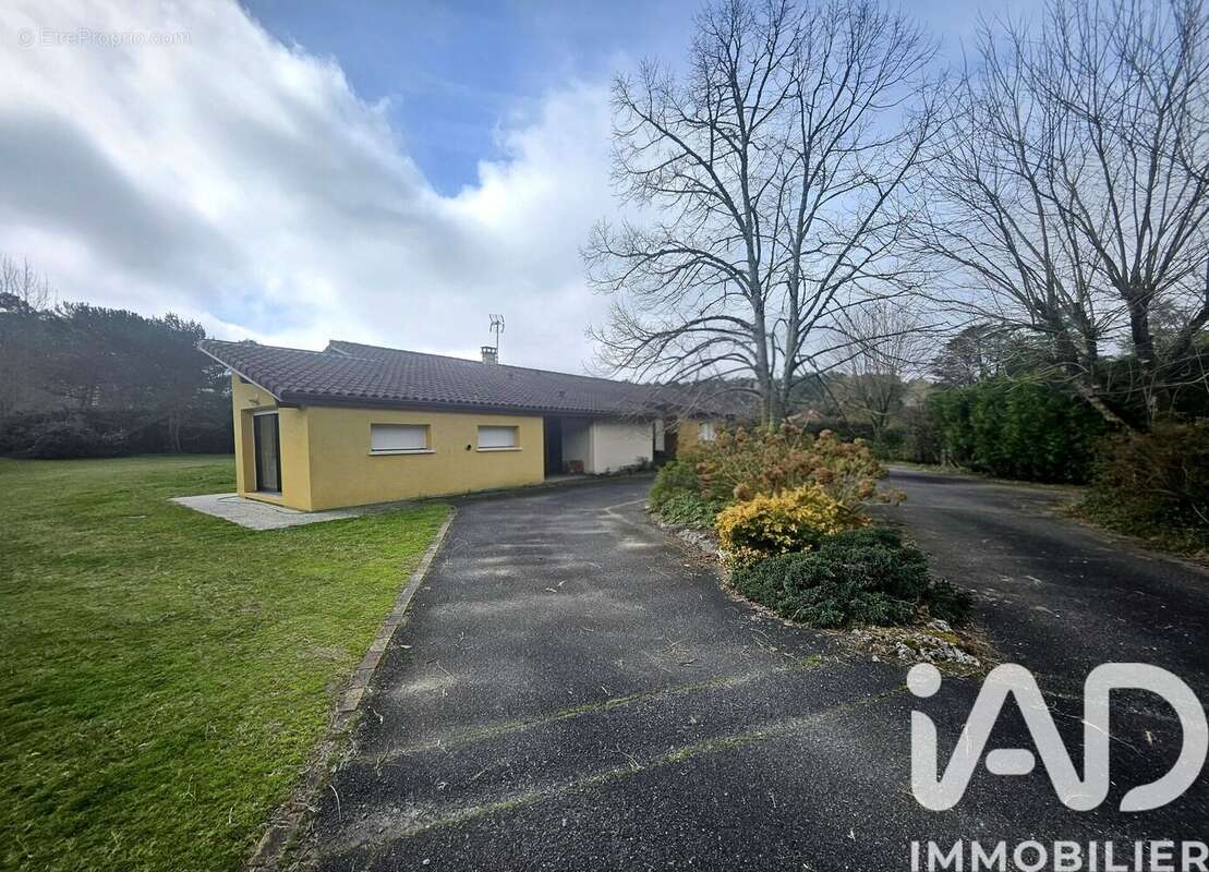 Photo 4 - Maison à SAINT-GEOURS-DE-MAREMNE