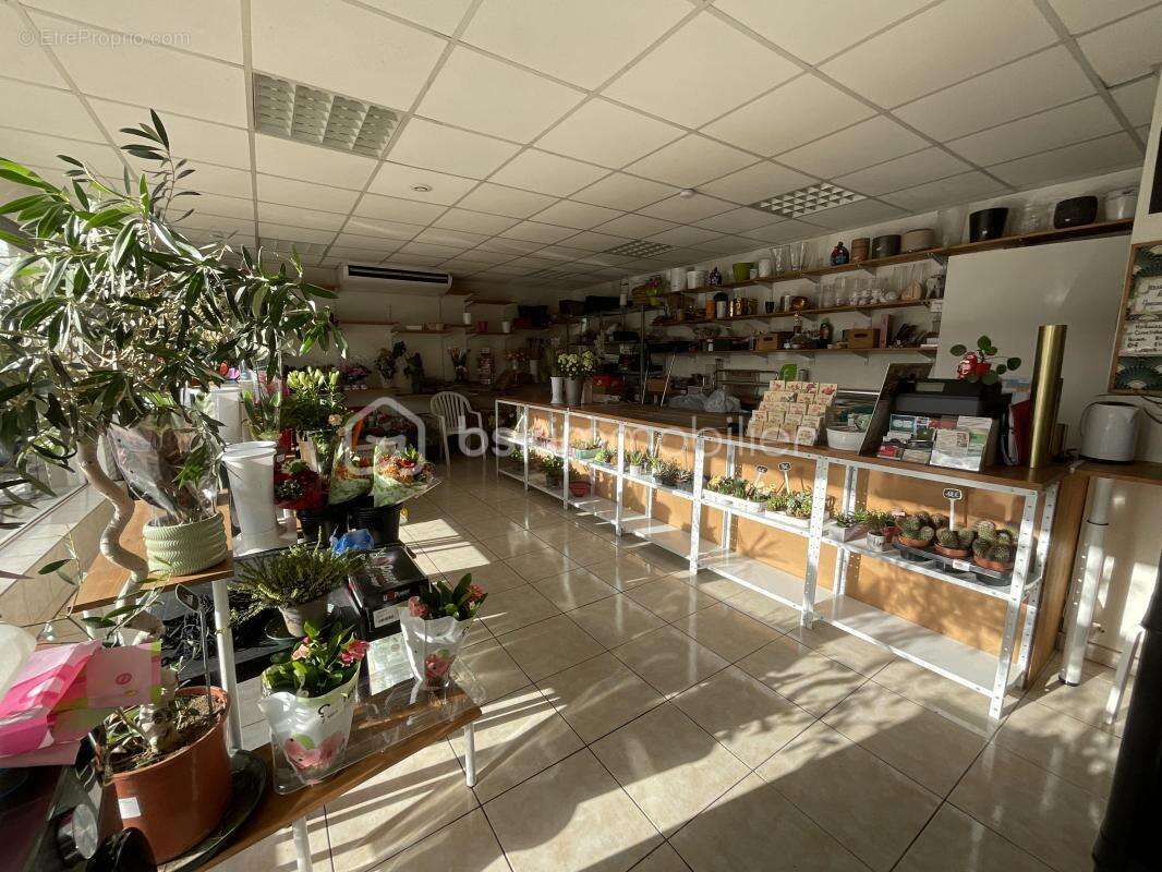 Commerce à LAGNY-SUR-MARNE