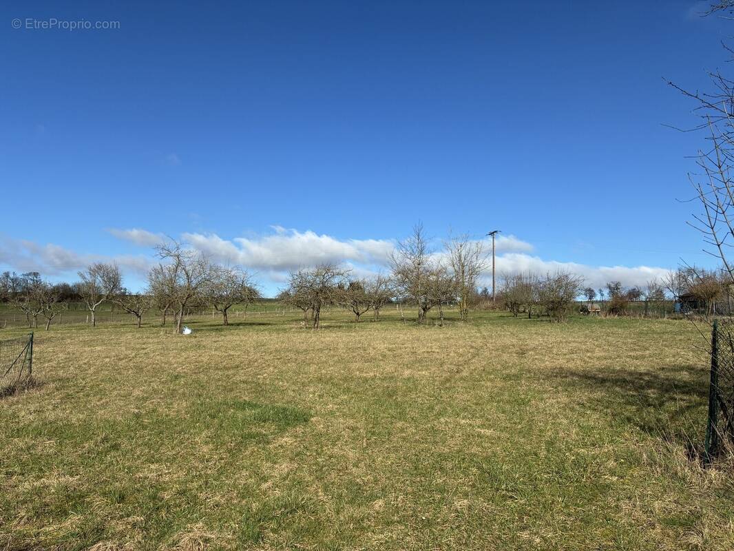 Terrain à ROHRBACH-LES-BITCHE