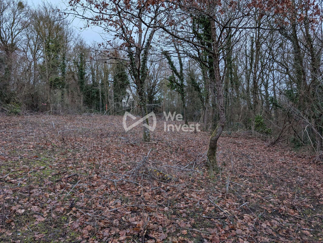Terrain à VIDELLES