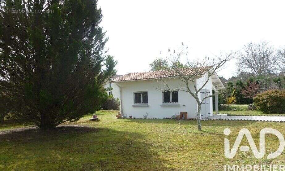 Photo 2 - Maison à SANGUINET