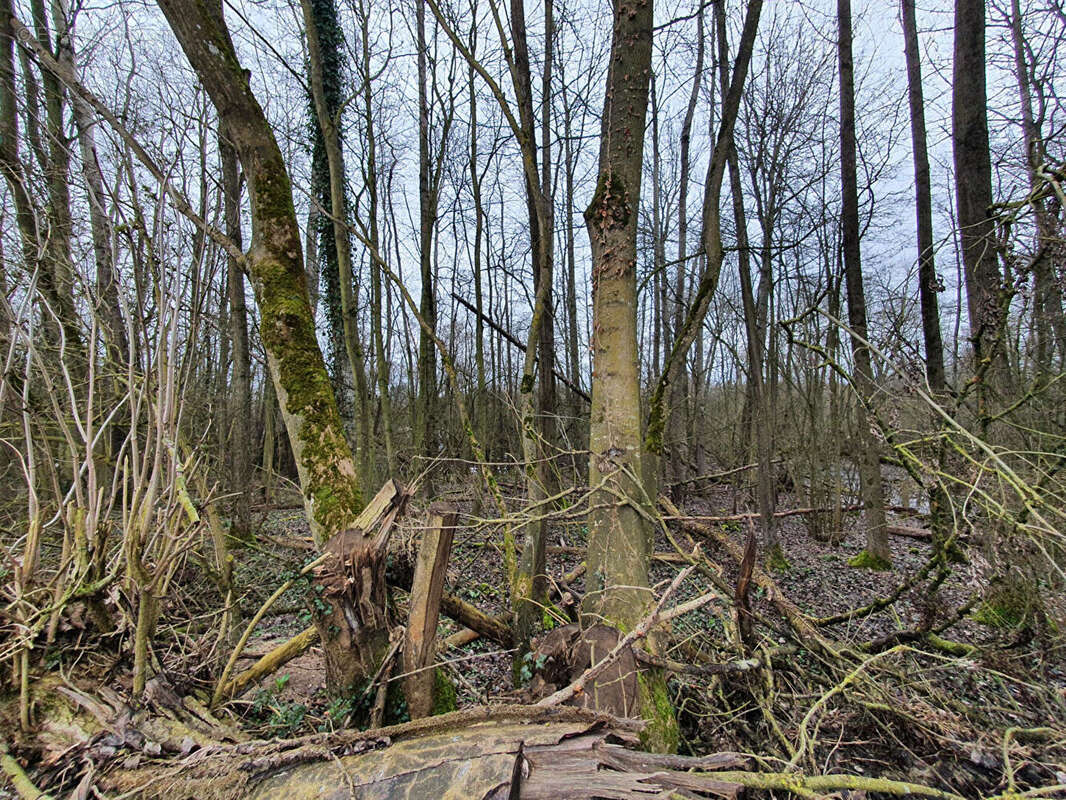 Terrain à SAINT-QUENTIN
