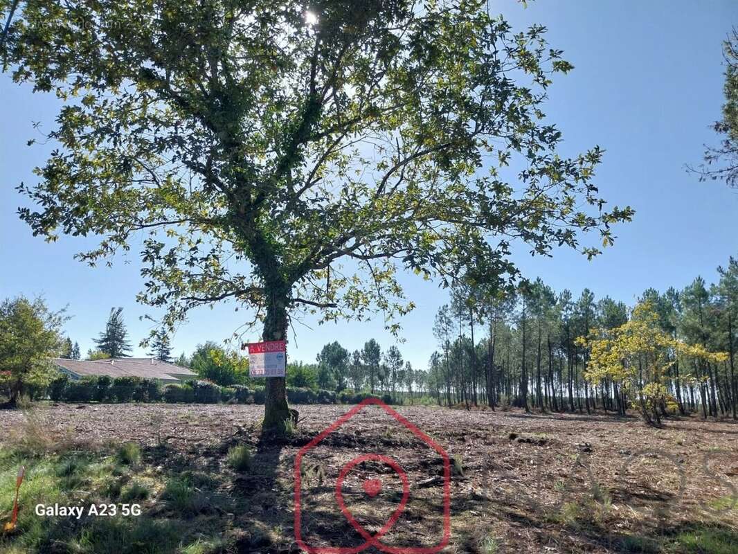 Terrain à PARENTIS-EN-BORN