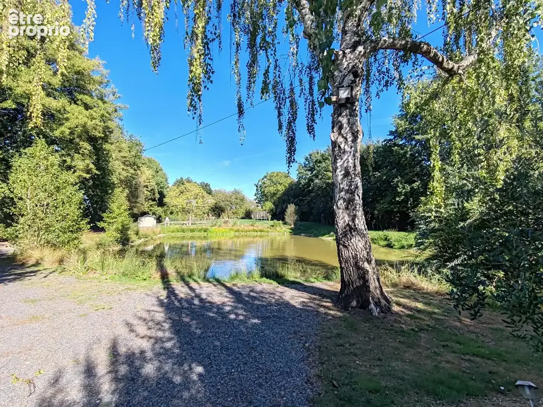 Terrain de loisirs 6800 m2 - étang - photo 7