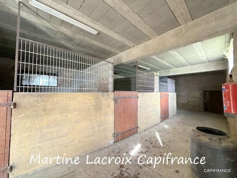 Dpt SARTHE (72), à vendre LA FERTÉ-BERNARD - PROPRIÉTÉ  P5 de 100 m² - Terrain de 10 Ha - photo 31