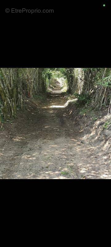 Terrain à MONTSAUCHE-LES-SETTONS