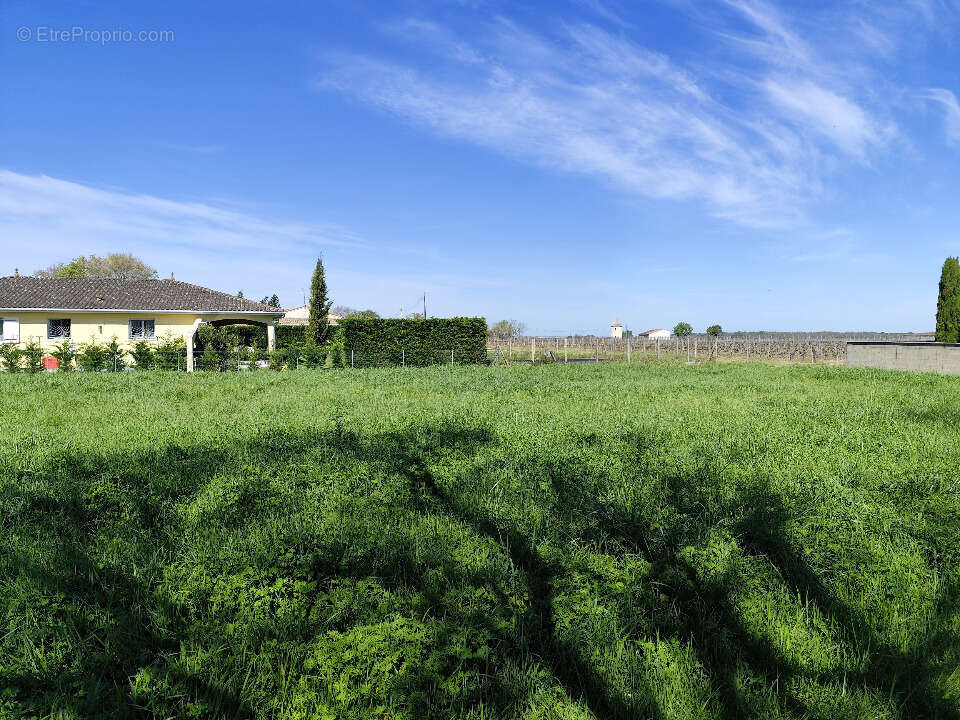 Terrain à BLAIGNAN