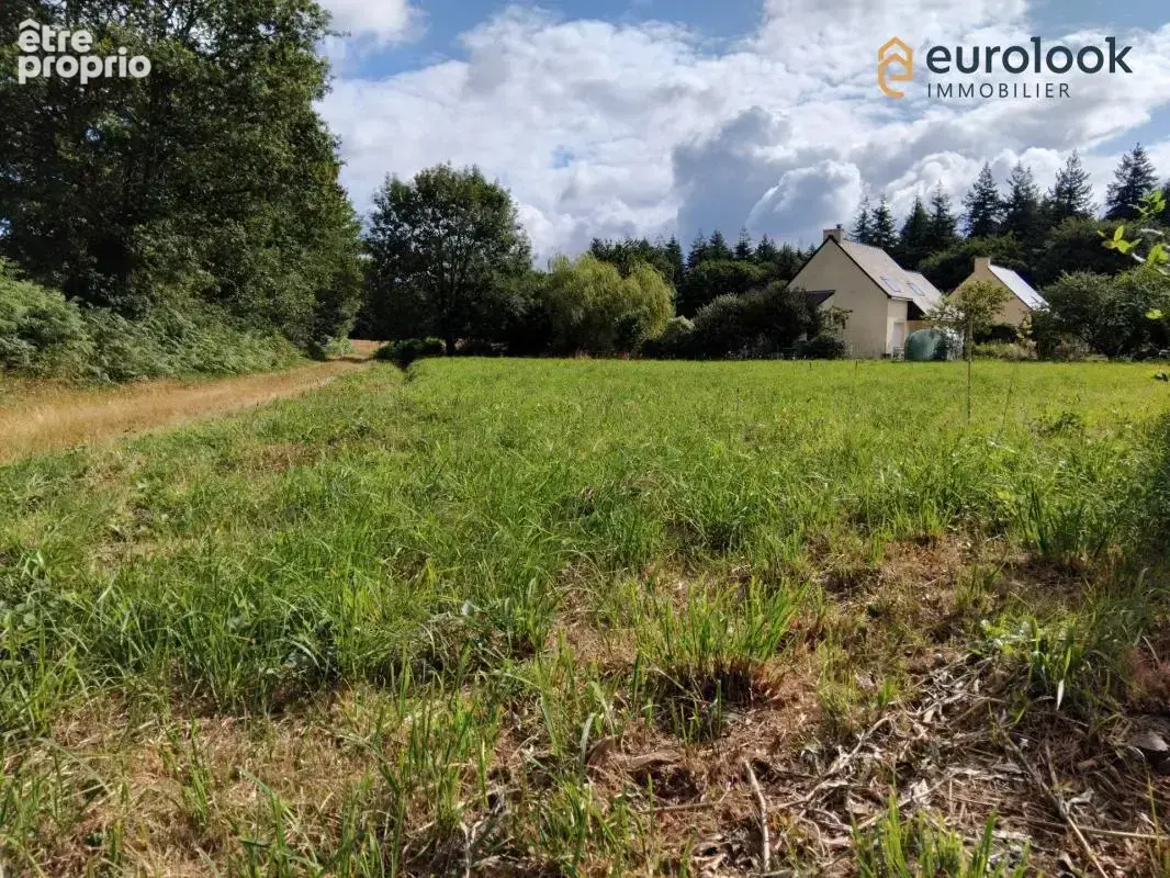 Tres beau terrain viabilise de 1086 m² a st guyomard - photo 3
