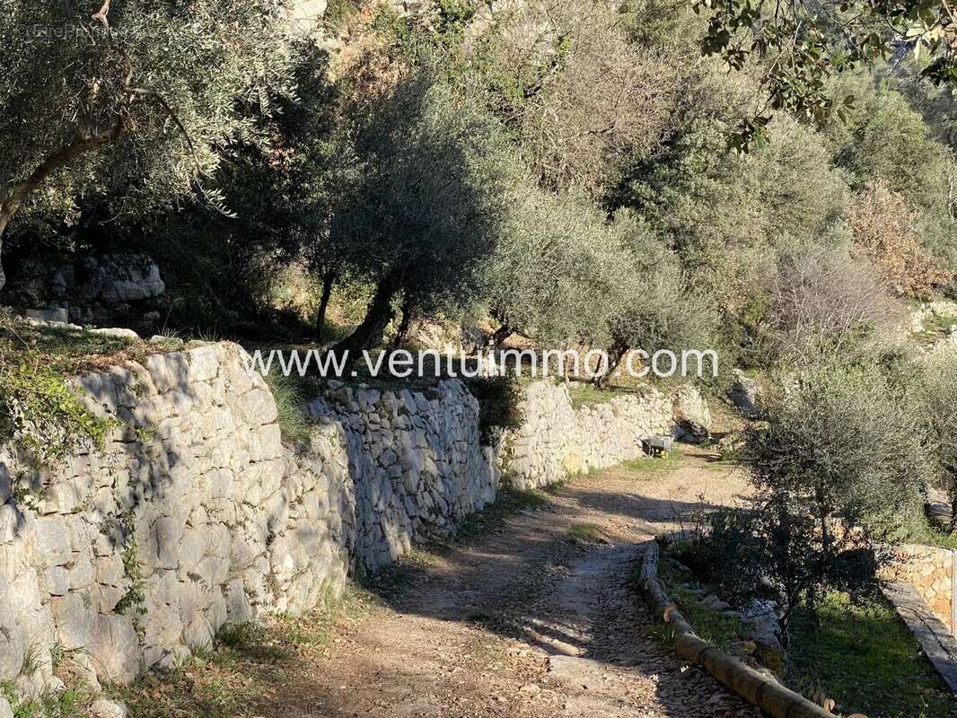 Terrain à SAINT-CEZAIRE-SUR-SIAGNE