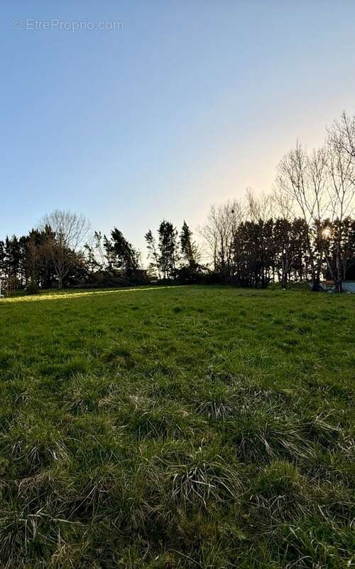 Terrain 2590 m² à Saint-Nexans  - photo 2