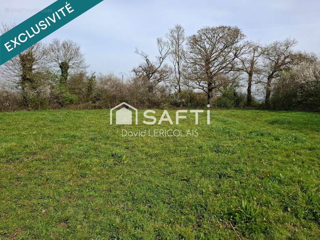 Photo 2 - Terrain à LE MESNIL-ANGOT