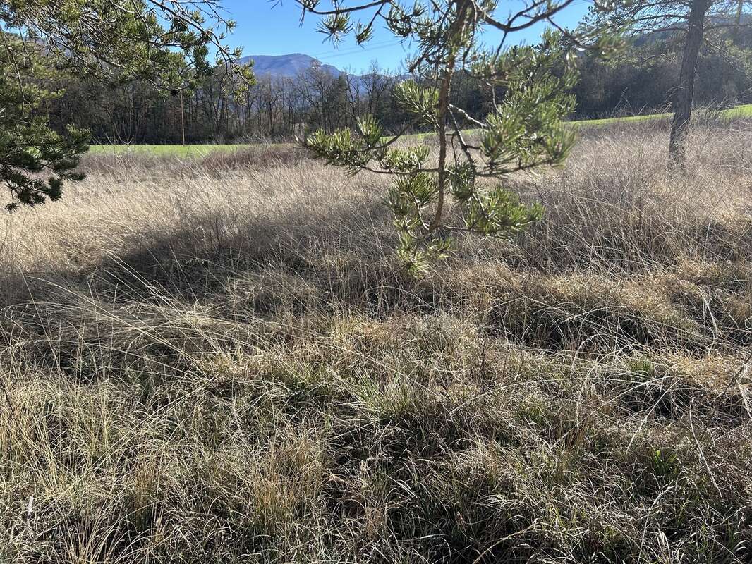 Terrain à FOUILLOUSE