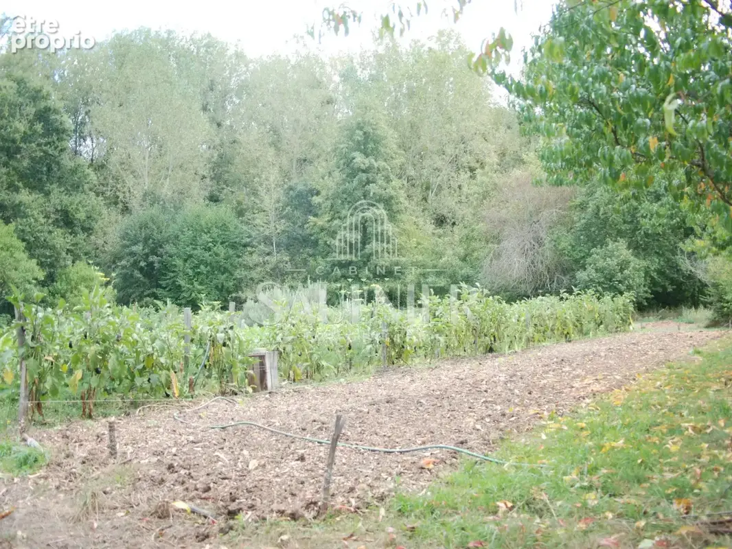 Entre Montrichard et Blois, petit domaine agricole. - photo 29