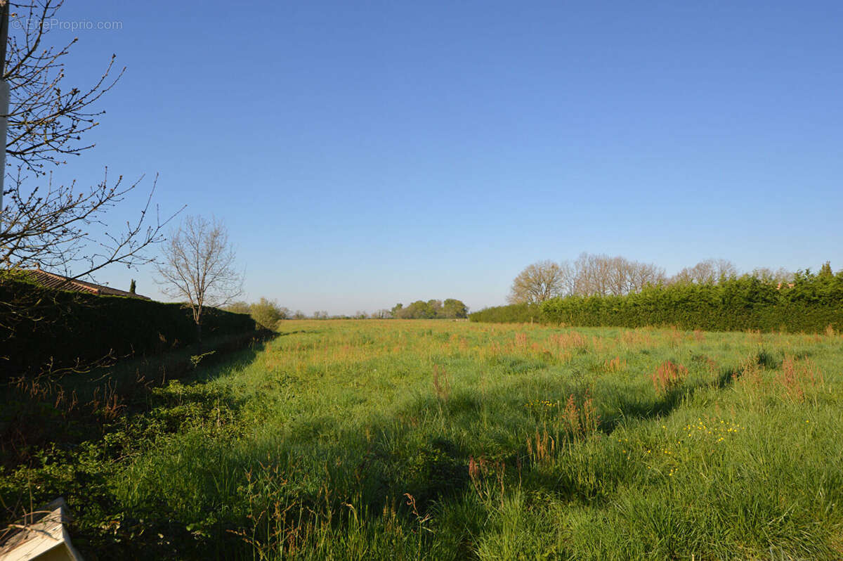 Terrain à CASTELSARRASIN
