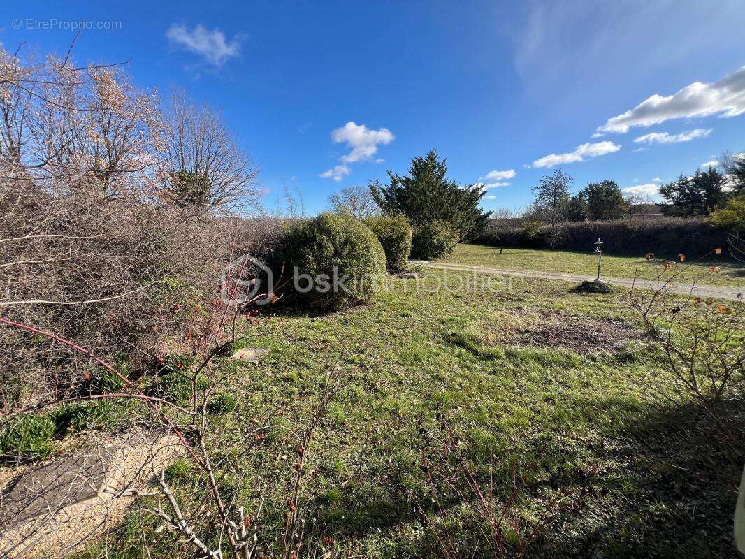 Commerce à TOURRETTES