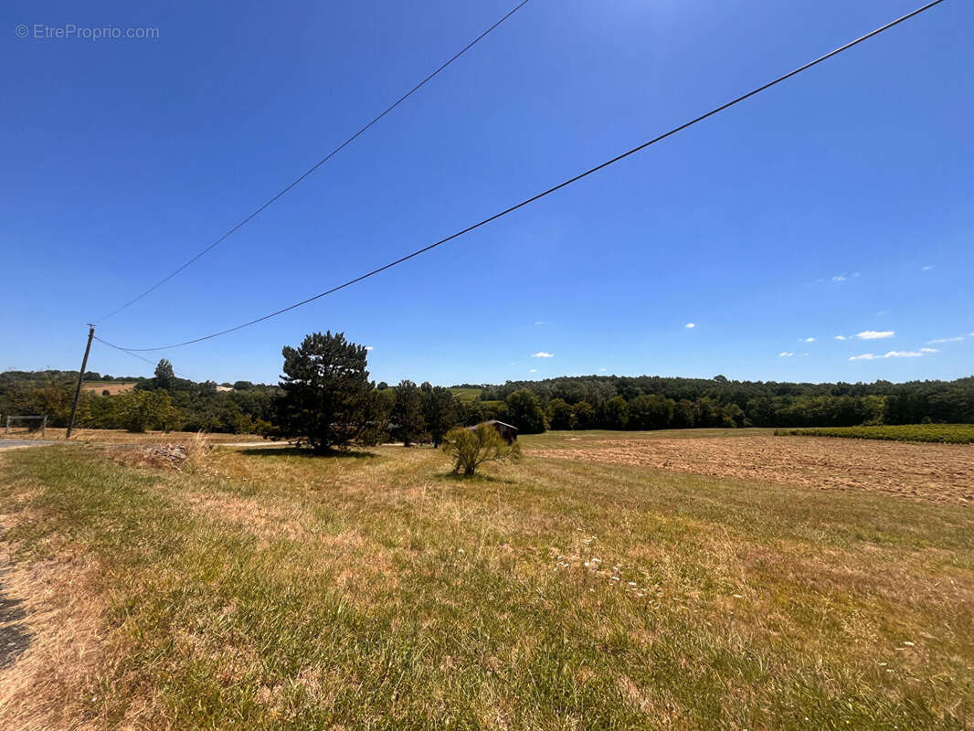 Propriété à vendre à Pellegrue - photo 3