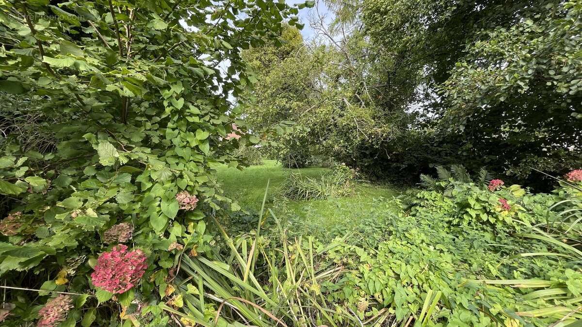 Maison à BEAUCHAMPS