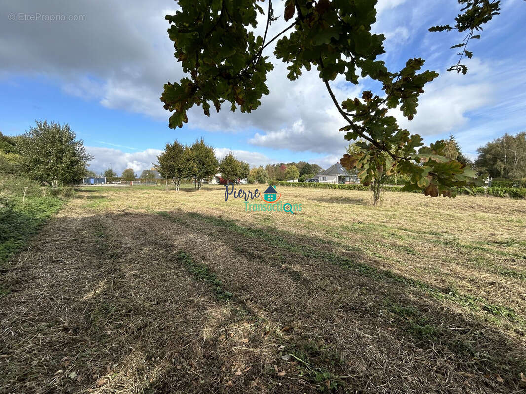 Terrain à SAINT-NICOLAS-DE-LA-TAILLE