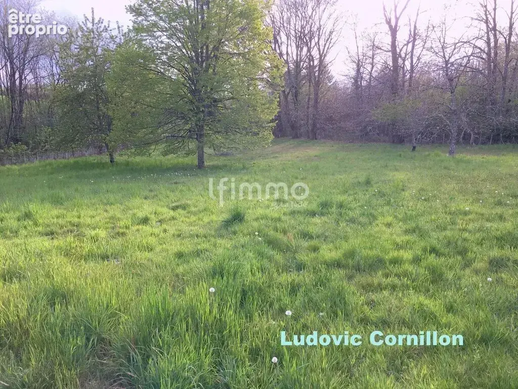Maison à la campagne : 119m2, granges, 1.5ha - photo 28