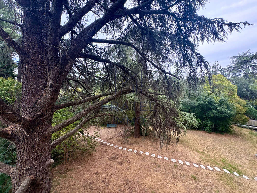 T2 avec terrasse sans vis-à-vis, résidence sécurisée avec piscine   Celleneuve - photo 14